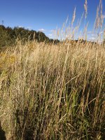 P80929-133957.jpg