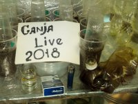 GanjaLive (1).jpg