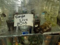 GanjaLive (58).jpg