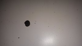 IMG_20181001_173957_704.jpg