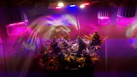 20181002_001612.jpg