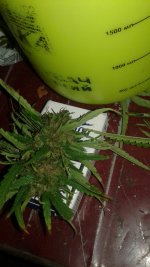 20180915_004729.jpg