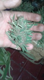 20180918_235137.jpg