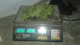 20180923_032138.jpg