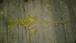20181003_000706.jpg