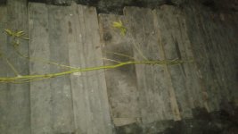 20181003_000714.jpg