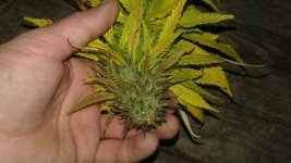 20181003_000728.jpg