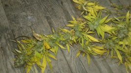 20181003_000809.jpg