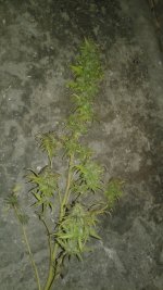 20181003_002218.jpg