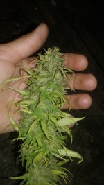 20181003_002227.jpg