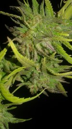 20181003_020951.jpg