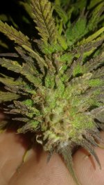 20181003_021004.jpg