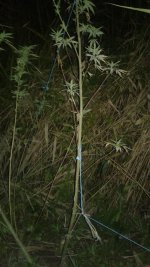 20180928_004636.jpg