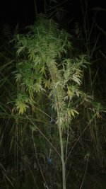 20180928_004204.jpg