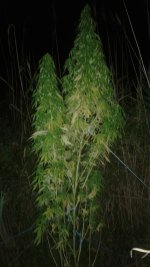 20180928_004114.jpg