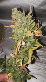 20181004_173109.jpg