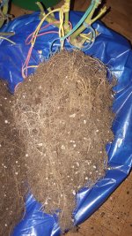 20181004_173636.jpg