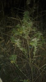 20181005_024721.jpg