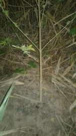20181005_024728.jpg