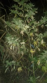 20181005_025450.jpg