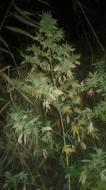20181005_025502.jpg