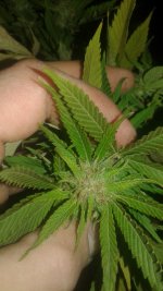 20181005_025531.jpg