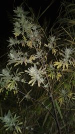 20181005_024305.jpg