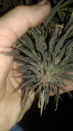 20181005_024404.jpg