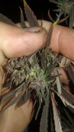 20181005_024450.jpg