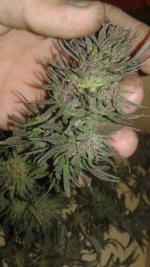 20181005_052434.jpg
