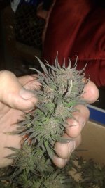 20181005_052503.jpg