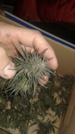 20181005_052508.jpg