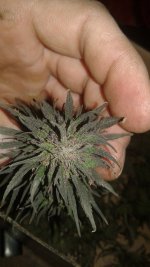 20181005_052514.jpg