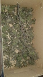 20181005_052525.jpg