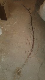 20181005_052835.jpg