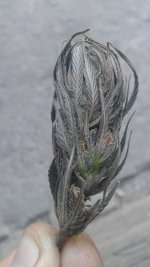 20181005_134541.jpg