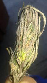 20181005_134619.jpg