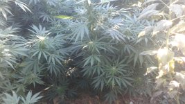 20181005_081803.jpg