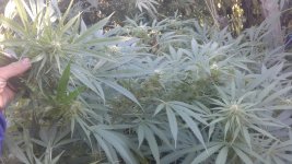 20181005_081849.jpg