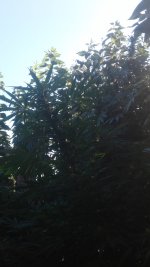 20181005_082045.jpg