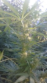20181005_082148.jpg