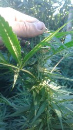 20181005_082450.jpg