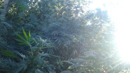 20181005_082542.jpg