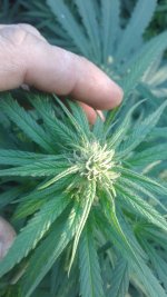 20181005_082453.jpg