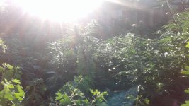 20180924_074053.jpg