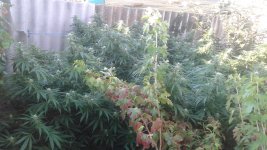 20180924_074124.jpg