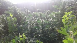 20181002_085624.jpg