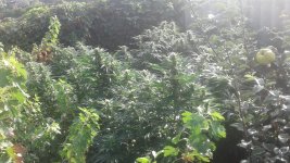20181002_085646.jpg