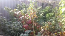 20181002_085721.jpg