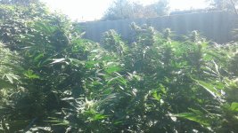 20181003_121311.jpg